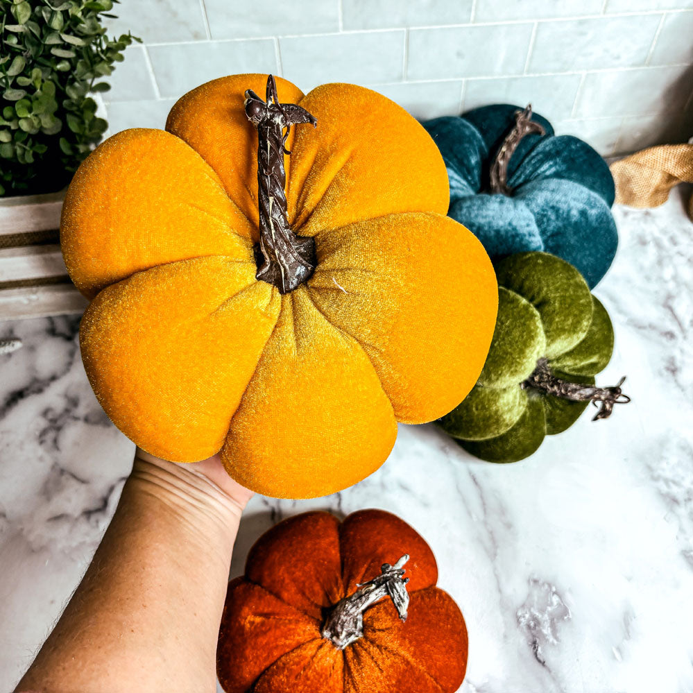 Velvet fabric pumpkins
velvet pumpkins
pumpkins velvet
velvet pumpkin